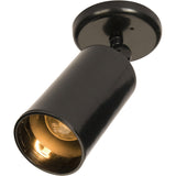 Spots Can Wall Flush Mount Black by Maxim Lighting