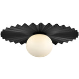 Stevie Wall/Ceiling Light Medium Black Lark Living
