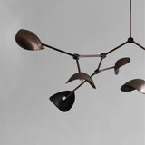 Stingray Chandelier Large Bronze by 101 Copenhagen - View 3
