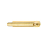 Stockport Picture Light - 17 Inch - Aged Brass by Hudson Valley
