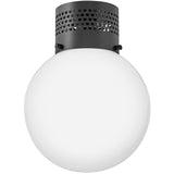 Taj Ceiling Light Black By Lark Living - Front View