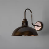 Talise Swan Neck Wall Light - Antique Brass