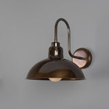 Talise Swan Neck Wall Light - Antique Brass