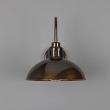 Talise Swan Neck Wall Light - Antique Brass