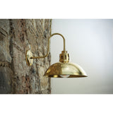 Talise Swan Neck Wall Light - Polished Brass