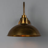 Talise Swan Neck Wall Light
