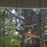 Thula Linear Suspension, Finish: Sand Black, Color: Canaletto Walnut