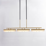 Titus Linear Suspension by Troy Lighting