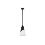 Tori Pendant 9'' Matte Black