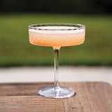 Veneziano Mixology Coupe Glass by Zafferano, lifestyle view 2