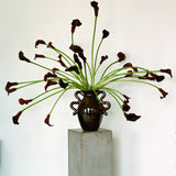 Verso Table Vase By Ferm Living - Lifestyle View1