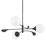 Victoria Chandelier Black By Mitzi