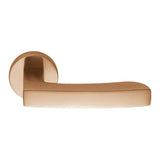 Viola Door Lever in Vintage Matte by Colombo Design