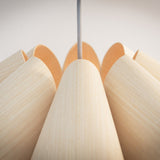 Vistoria Suspension Regular Ash By CDL Detailed View