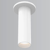Whiskey Slim Ceiling Cylinder Light Small White By Fase1Lighting