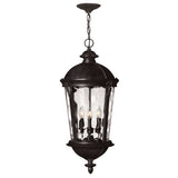 Windsor Large Hanging Lantern - Black - by Hinkley