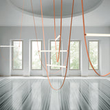 Wireline Suspension By Flos - Lifestyle View5