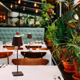 Poldina Pro LED Portable Table Lamp