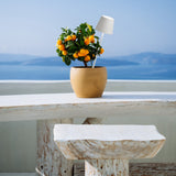 Poldina Lamp with Peg