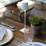 Poldina Pro Micro Battery Operated Table Lamp