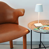 Poldina Pro Mini Table Lamp