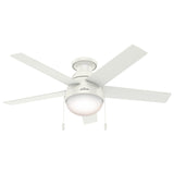 Anslee Low Profile with LED Light