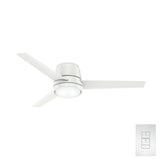 Commodus Smart Fan with LED Light