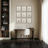 Crema Medium Walnut By Renwil