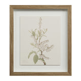 Crema Medium Walnut By Renwil