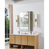 Colton 24-inch 2-light Brushed Nickel 5CCT LED Vanity Light with Etched Opal Glass Shades