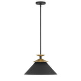 Tremolo 16-inch 1-light Textured Black and Champagne Gold Pendant Light
