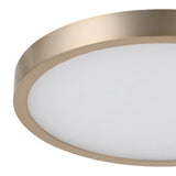 Argyle 16-inch Champagne Gold and Natural Alabaster 5CCT LED Flush Mount