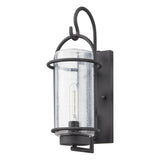 Taplow 16-inch 1-light Weathered Zinc Exterior Wall Sconce with Clear Seeded Glass Shade
