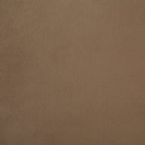 Alchemilla Indoor Pillow Camel By Renwil