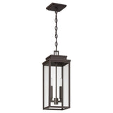 Hillside 7-inch 2-light Dark Bronze Exterior Pendant Light with Clear Glass