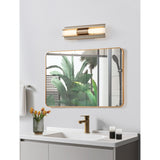 Colton 18-inch 2-light Champagne Gold 5CCT LED Vanity Light with Etched Opal Glass Shades
