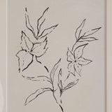 Palmela Medium Walnut By Renwil