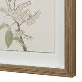 Crema Medium Walnut By Renwil