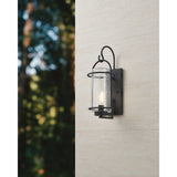 Taplow 18-inch 1-light Weathered Zinc Exterior Wall Sconce with Clear Seeded Glass Shade