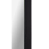 Delacorte Wall Mirror Black By Renwil