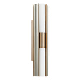 Colton 24-inch 2-light Champagne Gold 5CCT LED Vanity Light with Etched Opal Glass Shades
