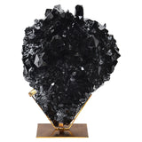 Burnett Statue Black By Renwil