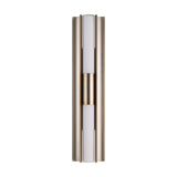 Colton 24-inch 2-light Champagne Gold 5CCT LED Vanity Light with Etched Opal Glass Shades