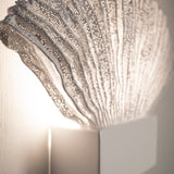 Venus Wall Light