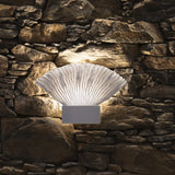 Venus Wall Light