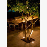 Logic R1 LED Floor Recessed Light by Delta Light