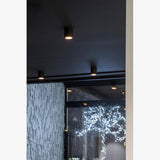 Boxy R Round LED Downlight by Delta Light