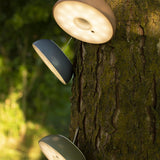 Float Wall Light by AXO Light, Color: White, Blue, Black, Concrete Green-Axo Light, Mauve Dust-Axo Light, , | Casa Di Luce Lighting