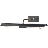 Raelynn Picture Light By Mitzi, Finish: Aged Old Bronze, Size: Large