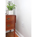 Radiant 15A Tamper Resistant USB Outlet in living room